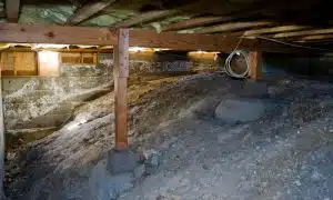 crawl space mold to be removed