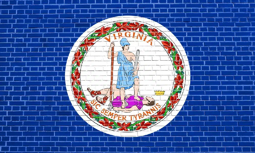 A flag of Virginia on a blue brick wall represents our explanation of foundation repair costs.