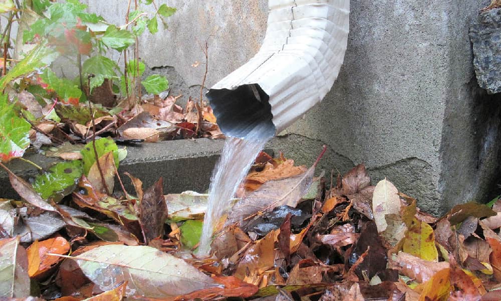 A downspout pours water on ground covered with leaves, illustrating the need for a downspout extension.