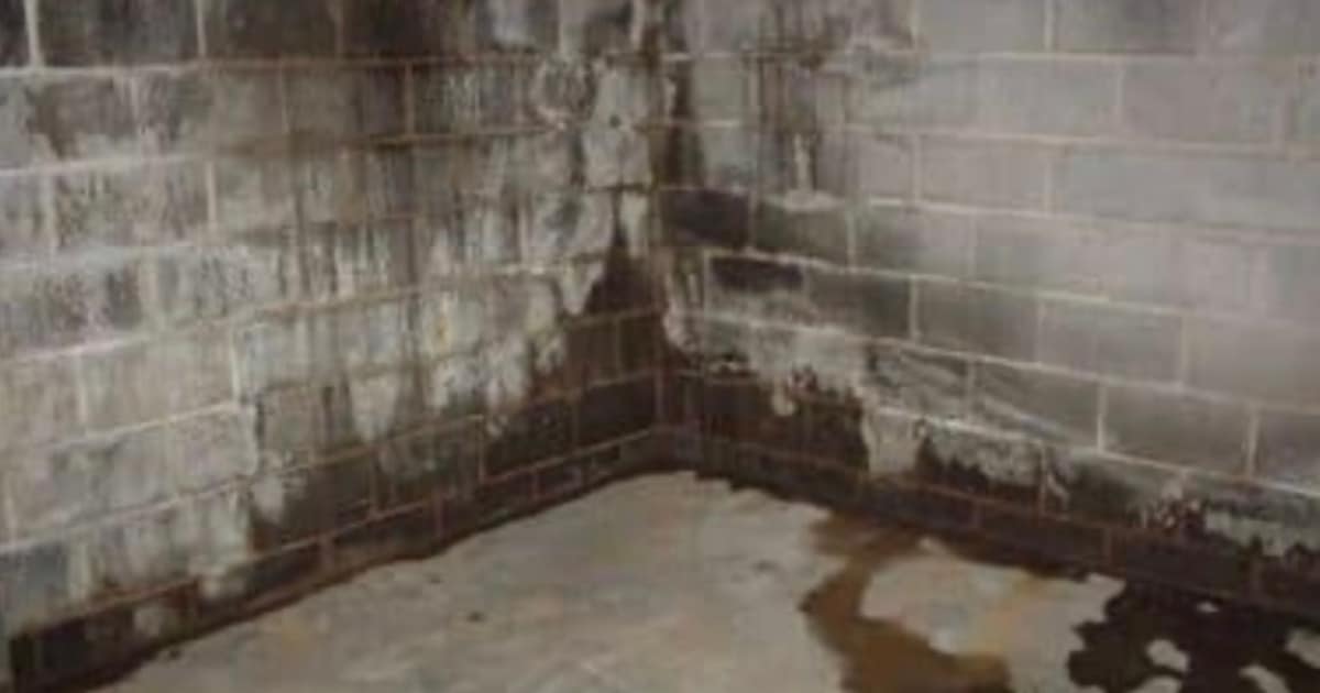 Basement Solutions for Moisture Control