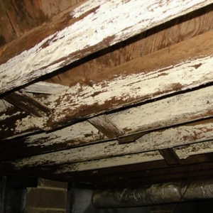 A rotting wood in crawl space joists, a damaged floor joists are root cause of gap between floor and wall in Martinsburg, WV