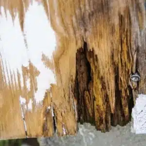 An aging wooden structure with visible white cast, illustrating aging as a potential cause of sagging floors in Martinsburg, WV