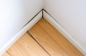 A section of wood floor that has risen above the floor, displaying cracked floors as signs of unlevel floors in Alexandria, VA.
