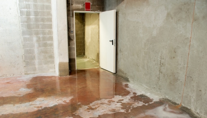 Damp Basement