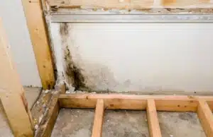 A basement with mold growth that could emit a damp, musty odor, as signs of potential rotting wood in Linden, VA