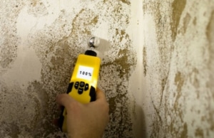 An image of efflorescence on a wall, a clear indication of the condition of a damp basement in Reston, VA