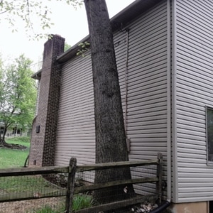 A large tree behind a house shows how environmental factors like tree roots can cause foundation cracks in Southbridge, VA.