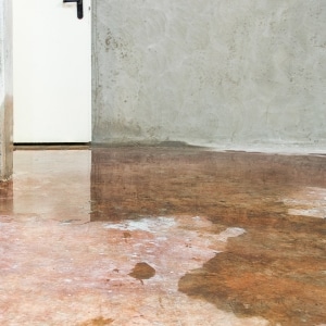 Basement with water leaks on the floor, indicating exposure to excess moisture as the cause of unlevel floors in Berkeley, WV.