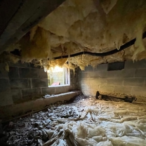 A crawl space with damaged insulation and inadequate vapor barrier as a cause of wet crawl space insulation in Linden, VA.