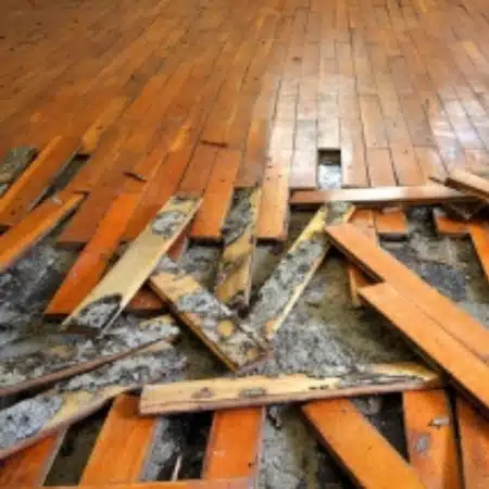 A wood flooring detached from the floor, indicating a lack of maintenance as the cause of rotting wood in Manassas, VA