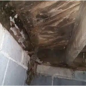 A damp crawl space ceiling and discolored joists indicate moisture damage as a cause of floor sagging in Berryville, VA.