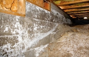 Visible mold and mildew on the foundation wall, a sign of cracks in the concrete walls in Gainesville, VA