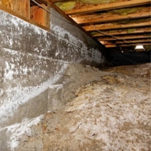 Visible mold growth in crawl space dirt floor, joist, and walls, one of the causes of uneven floors in Clear Brook, VA.