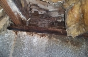 A wet crawl space ceiling with damaged insulation and mold growth, a sign of crawl space condensation in Flint Hill, VA.