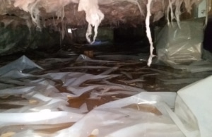 A crawl space with damaged insulation and dampness causing a musty odor, a sign of wet crawl space insulation in Ashburn, VA.
