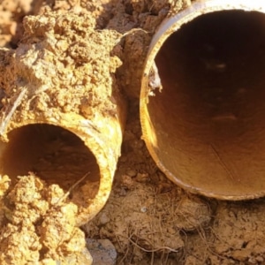 A clogged plumbing tube, emphasizing how water leakage from plumbing issues can cause a damp basement in Stephens City, VA
