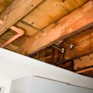 A damp wooden structure due to plumbing leaks, with plumbing leaks water damage as the cause of sagging floors in Flint Hill, VA