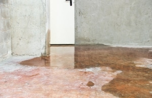 Pooling of water on the basement floor and wall, indicating a sign of an unlevel basement slab floor in Front Royal, VA.