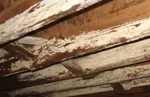 A rotted wood elements in the crawl space, with rotted wood serving as a visible sign of rotting wood in Berkeley, WV