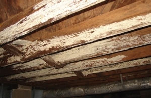 A rotted wood floor joist and beams on the crawl space, a sign that there's crawl space condensation in Southbridge, VA.