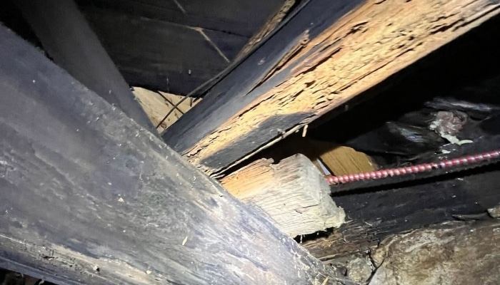 Crawl Space Wood Rot