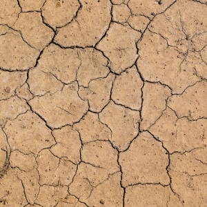 A soil cracking, highlighting soil moisture change as a potential cause of the gap between floor and wall in Clear Brook, VA