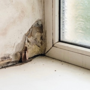 A drywall with visible signs of moisture and peeling, indicating that water damage can cause drywall cracks in Bristow, VA