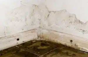 Water stains on basement floor and walls, showcasing water stains as a noticeable sign of a damp basement in White Post, VA