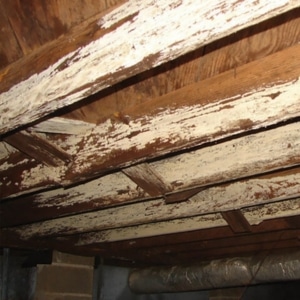 A rotting crawl space joist with efflorescence, indicating weakened floor joists as the cause of sagging floors in Bristow, VA