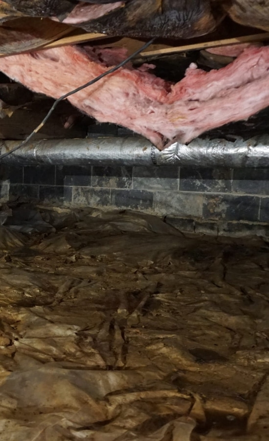 A dirty crawl space with wet insulation, signs of crawlspace problems that needs crawl space wet insulation solutions in Northern VA.