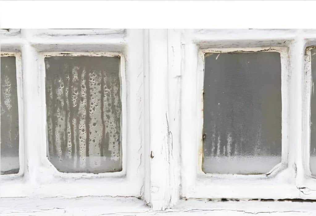 Basement windows with condensation, suggesting moisture buildup, risking basement water damage in Front Royal, VA.