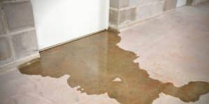 Basement leaks through a basement wall, creating a puddle on the floor.