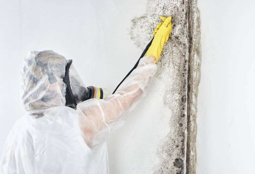 A person wearing protective gear (mask, gloves, goggles) cleaning a moldy surface in a crawl space.