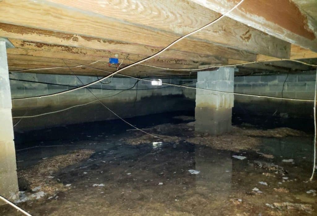 Standing water in a crawl space causes a musty odor and potential mold growth.