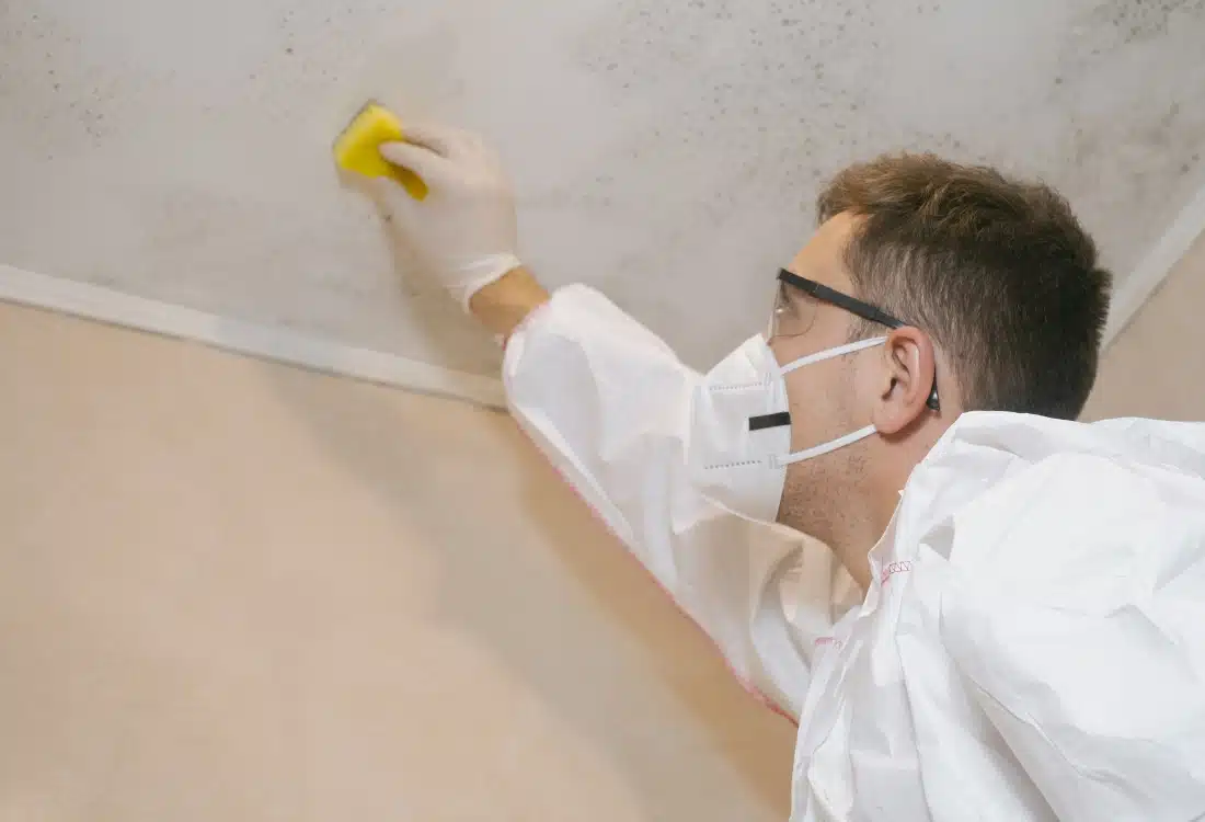 A person cleaning a basement wall with a sponge and a vinegar solution to remove mold and mildew.