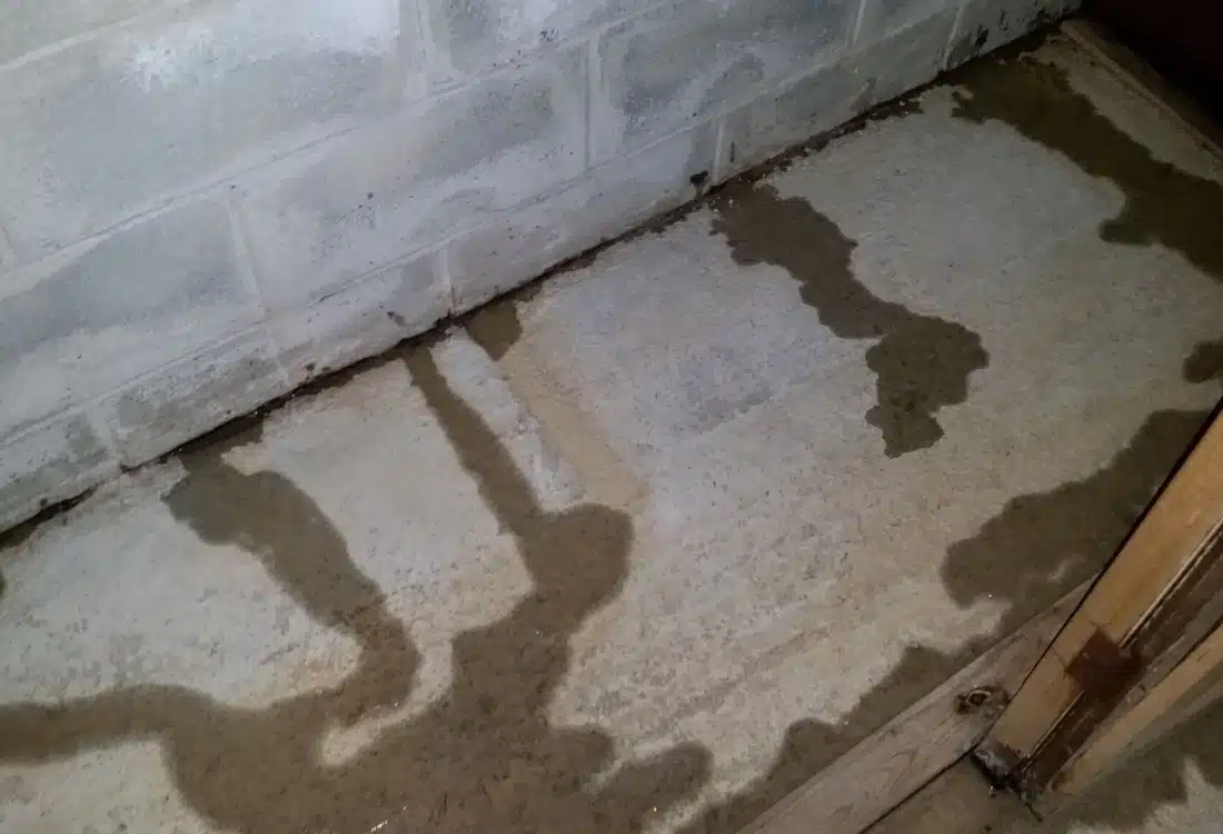 A basement leaks, one common cause of musty smells.