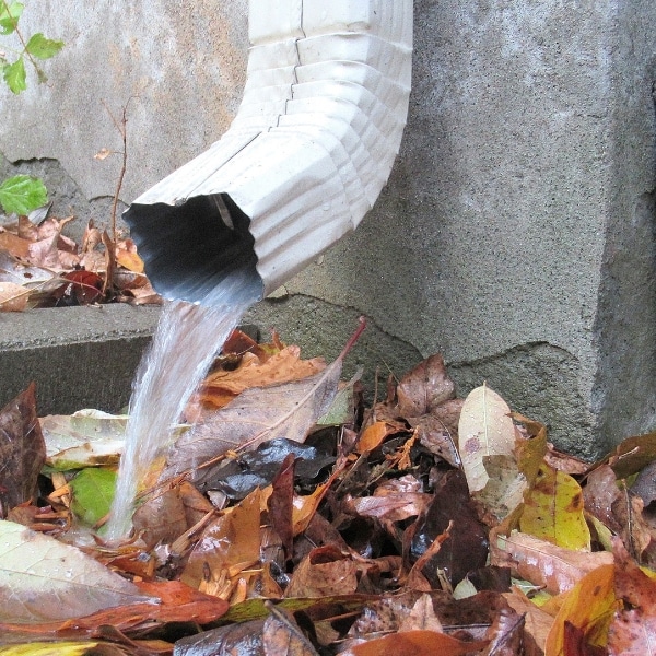 a drainpipe pouring water into the ground
