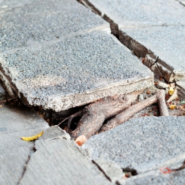 Raised concrete with tree root growth underneath, causing a sunken pool deck in Clear Brook, VA.