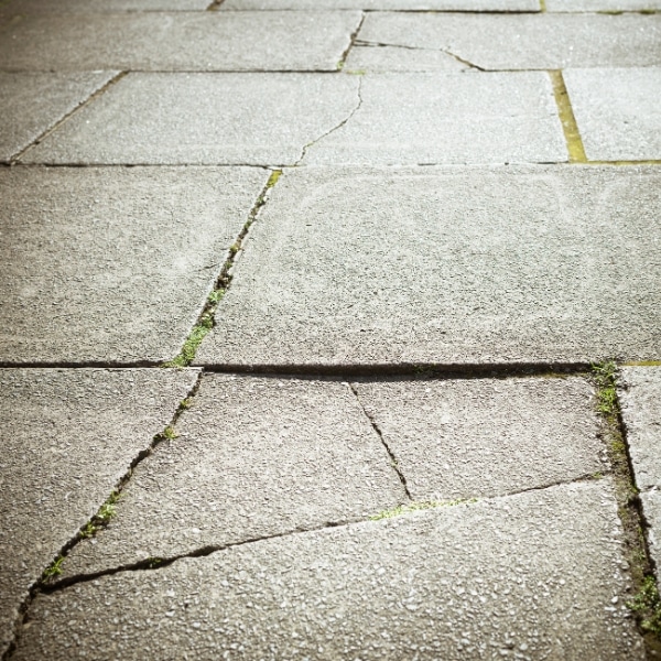 Sunken sidewalk with grass growing through cracks, illustrating tree roots as a cause of uneven sidewalks in Stephens City, VA.