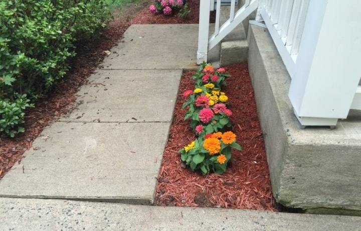 Uneven Sidewalks & Walkways