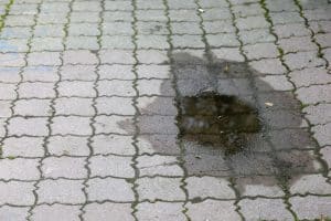 Water pooling on a sidewalk indicating the sign of uneven sidewalks and walkways in Harpers Ferry, WV.