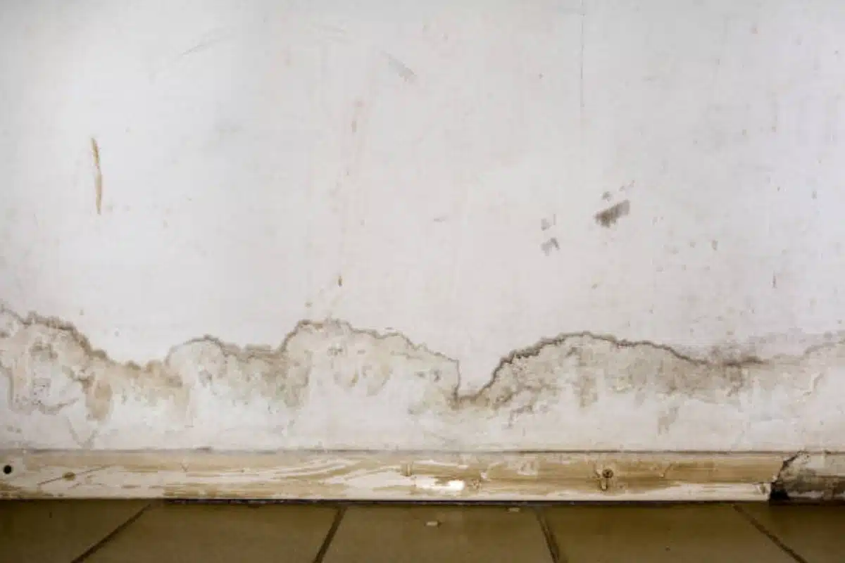 Brown or yellowish water stains on basement walls, a sign of water seepage from excessive rainfall in Bristow, VA.