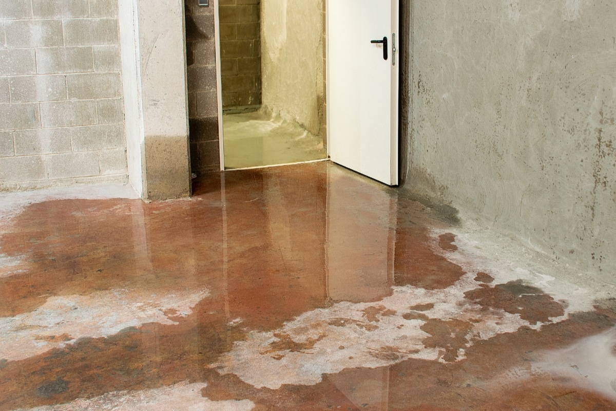 Moisture seepage in basement walls due to inadequate waterproofing and poor construction in Bristow, VA, causing water damage.