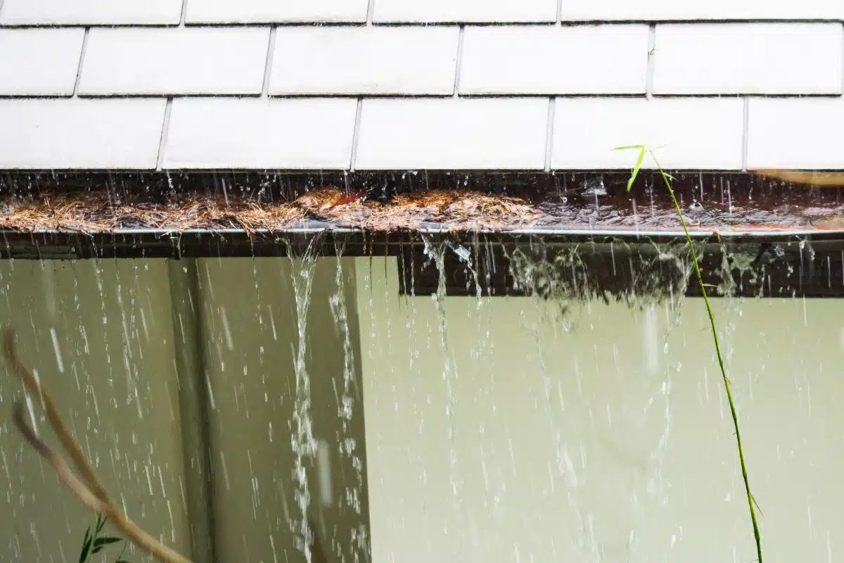 Leaking gutters caused by clogged leaves and debris and inadequate drainage in Stephens City, VA, causing foundation damage.