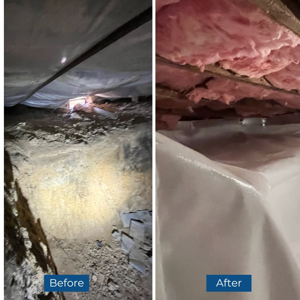 Step 5: Installed vapor barrier in the crawl space to create a moisture-resistant environment and control crawl space humidity levels.