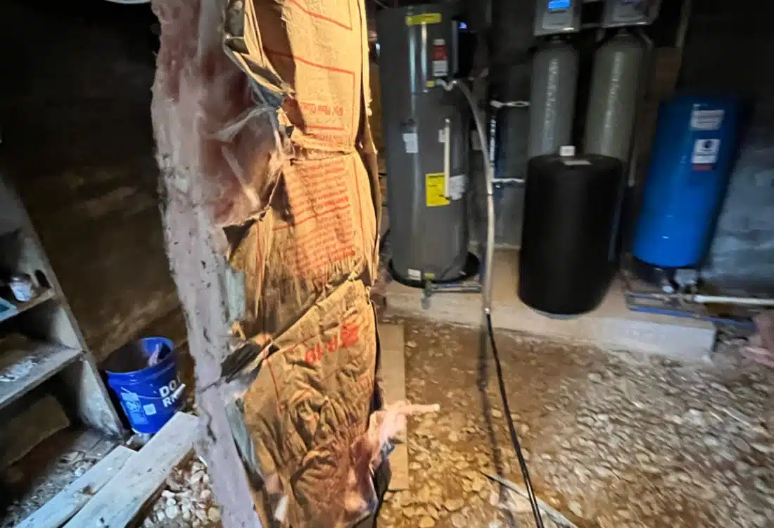 Bare crawl space with dirt floors and no insulation, leading to structural risks and high crawl space humidity in Woodstock, VA.