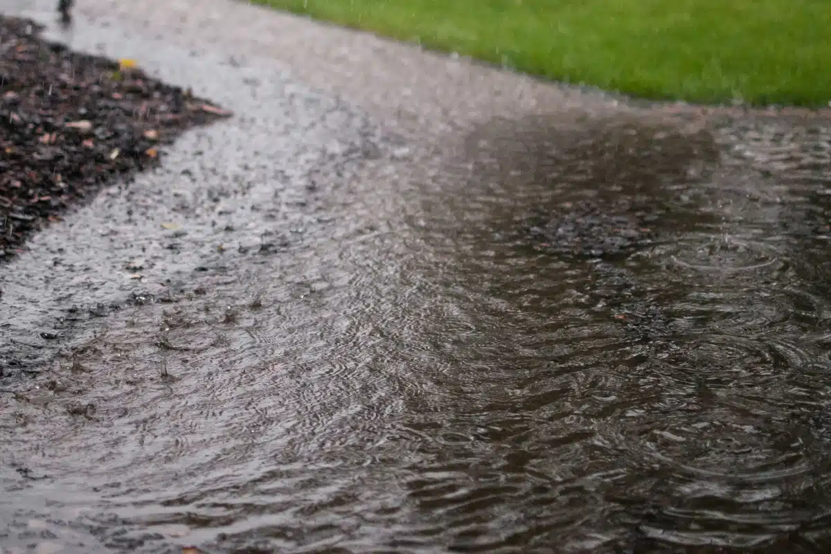 Frontyard with standing water from the high water table, saturating the soil leading to high moisture levels in Marshall, VA.