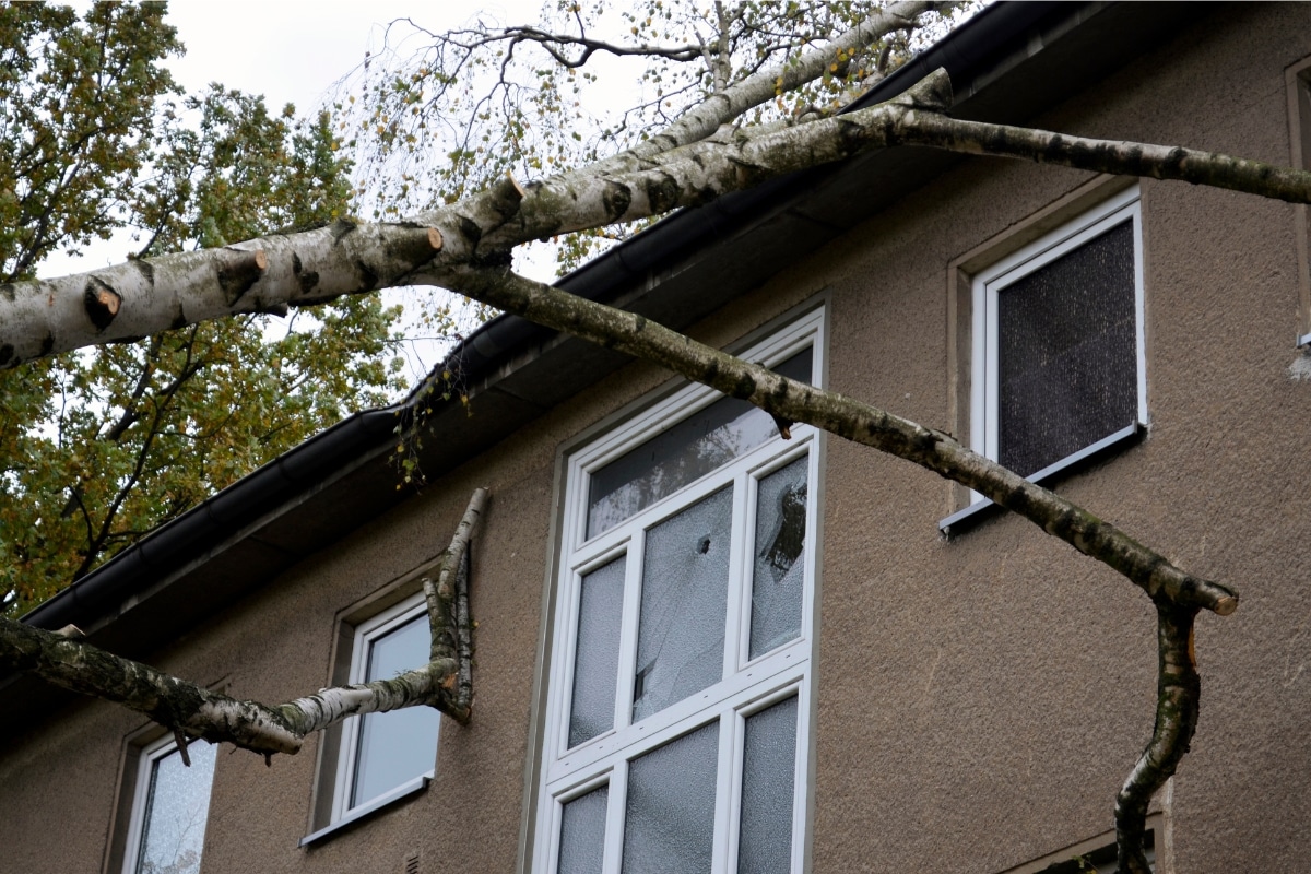 Fallen tree branches on a wall, causing foundation damage from hurricane natural disasters in Brambleton, VA.