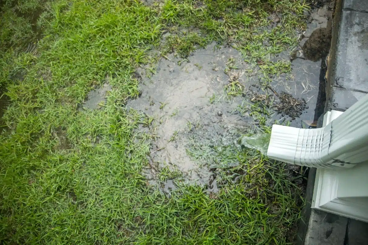 Water pooling near a home due to an unextended downspout shows poor drainage, causing poor soil compaction in Berryville, VA.