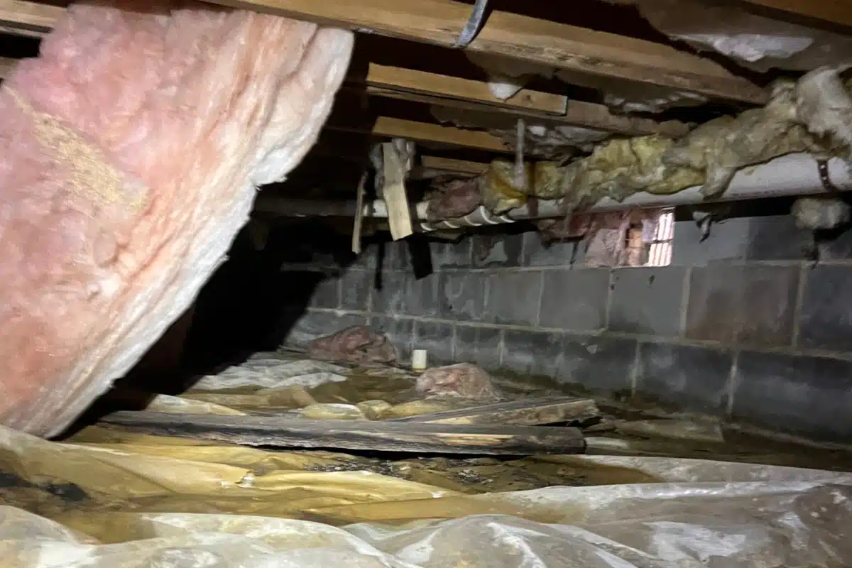 Damp, musty crawl space with water puddles issues from stack effect caused by open crawl space vents in Reston, VA.